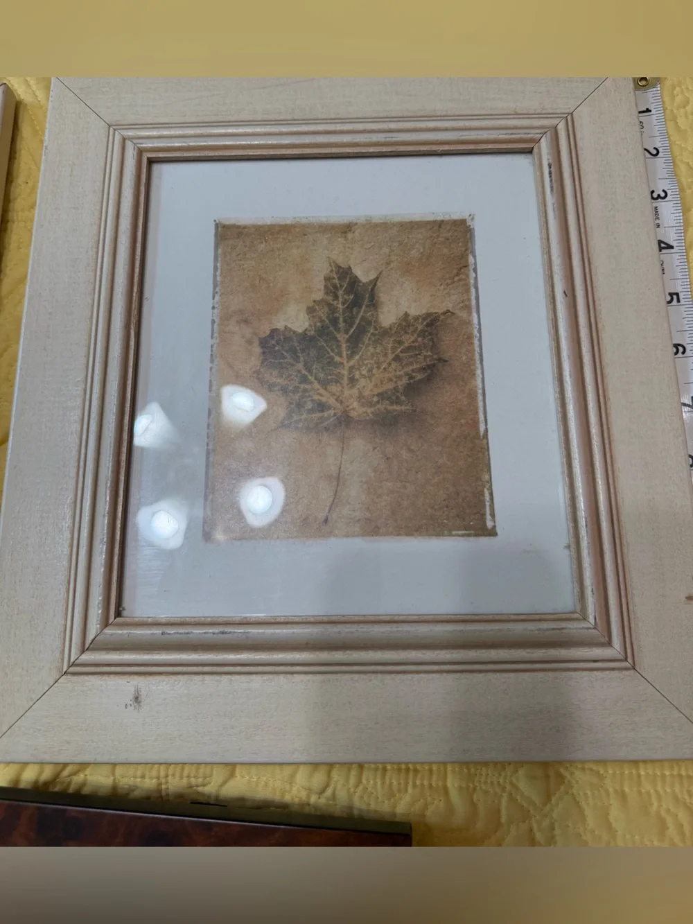 Neutral Framed Leaf Wall Art Set - Cream and Brown Lot 3